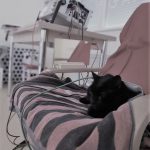 Edo na bioresonančni terapiji