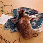 Liza na bioresonančni terapiji