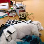 Molly na bioresonančni terapiji