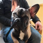 Jonny na bioresonančni terapiji